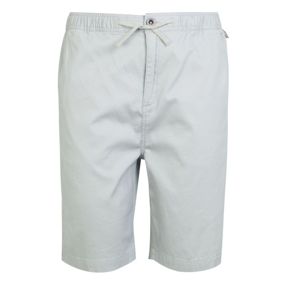Regatta Mens Aldan Chino Shorts / Silver Grey